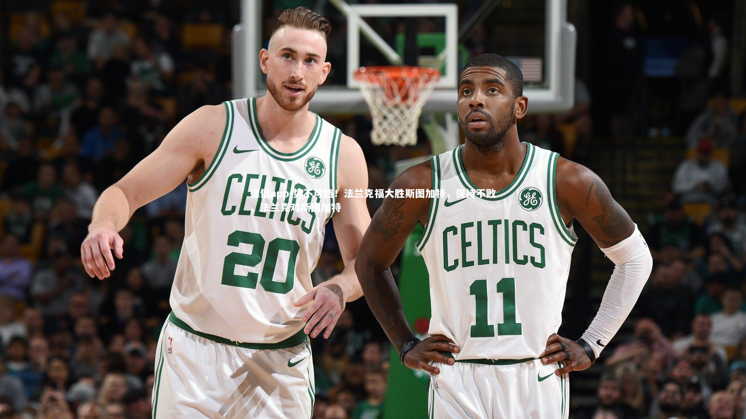 势不可挡!法兰克福大胜斯图加特,保持不败,法兰克对斯图加特